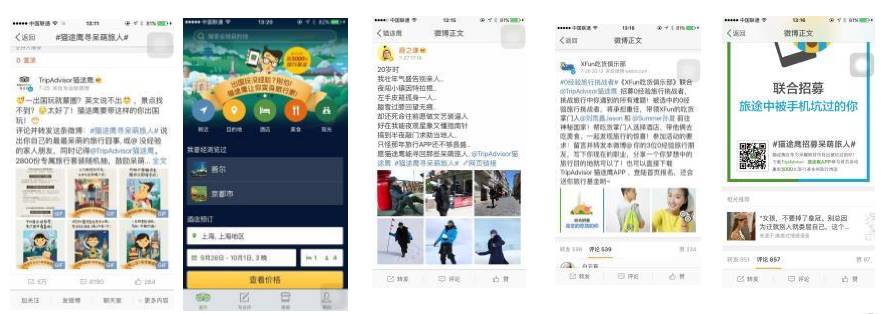 猫途鹰CMO潘浩栋 国际旅游品牌如何试水社交媒体网络营销