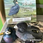 探索新西兰隐藏的瑰宝 Haast Visitor Centre游客信息中心点评